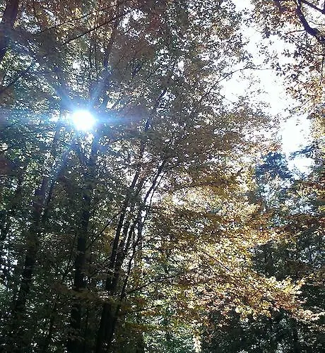 Apartamento Lighthaus