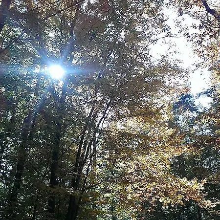 Apartament Lighthaus